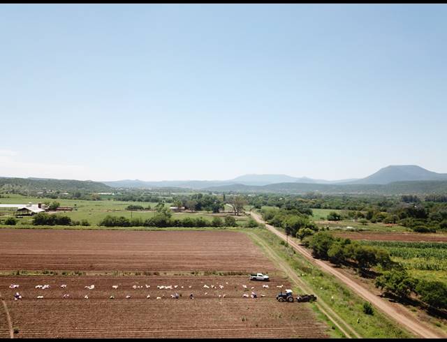 50HA FARM FOR SALE IN WEENEN